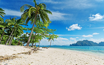 Tonga travels, Sunny beaches, Tropical paradise, Beach beauty HD wallpaper