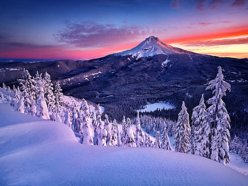 Majestic mountain, majestic, winter, frost, snowy, cold, mountain, clouds, trees, nature, sky, sun HD wallpaper
