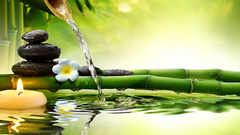 STILL LIFE, Candle, Bamboo, Leaves, Bonito HD wallpaper
