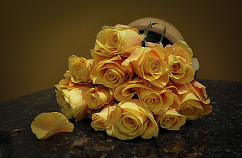 Flowers, Roses, Spotted, Spotty, Bouquet HD wallpaper