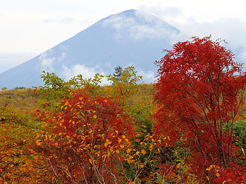 Autumn in Japan, fall, colours, colour, orange, tree, mountain, season, leaves, asia, field, green, yellow, red, trees, cloud HD wallpaper