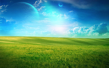 Landscape, Grass, Sky HD wallpaper