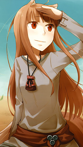 Spice and Wolf, Anime series, Holo and Lawrence HD phone wallpaper