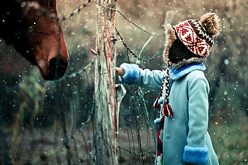 Winter, Snow, Miscellanea, Miscellaneous, Child, Horse, Curiosity HD wallpaper