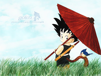 Little Goku, fighter, goku, anime, dragonball HD wallpaper