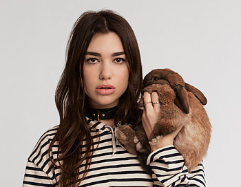 Dua Lipa 2019, dua-lipa, music, celebrities, girls HD wallpaper