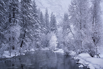 Yosemite National Park, white, snow, iarna, national, water, yosemite, park, winter, california, merced river HD wallpaper