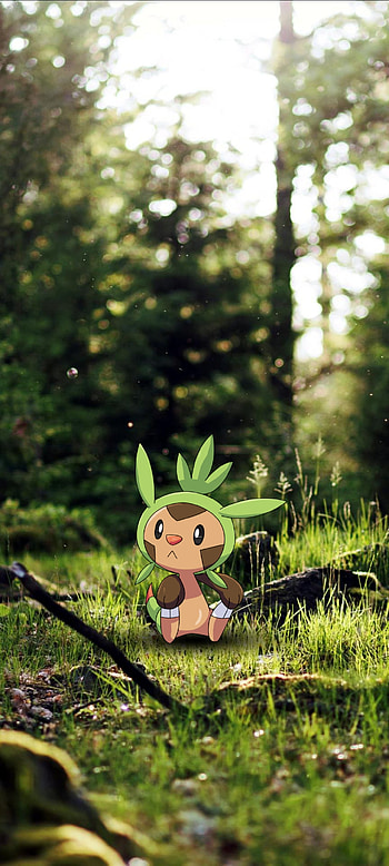 Chespin, chespin_0, pokemon_1 HD phone wallpaper
