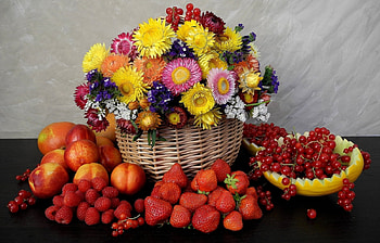 Plants, Flowers, Still Life HD wallpaper