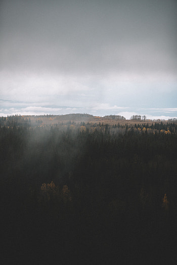 Landscape, Nature, Clouds, View From Above, Dark, Forest HD phone wallpaper