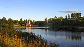 beautiful lake house, weeds, forest, lake, house HD wallpaper