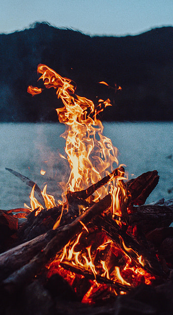 Nature, Fire, Bonfire, Flame, Firewood, To Burn, Burn HD phone wallpaper