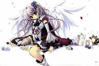 An Angel, wings, roses, kitty, cats, cute, white background, angel, long hair, dress, kawaii, simple, animals, white hair, flowers, sky, blush HD wallpaper