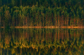 Lake, nature, green trees, reflections HD wallpaper