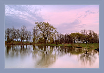 Early Spring in Park, park lake, reflection, trees, beautiful, grass, pink sky HD wallpaper
