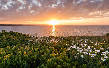 Cape Breton Island, Ocean sunset, Atlantic beauty HD wallpaper
