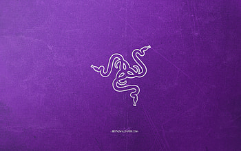 Razer logo, purple background, white chalk logo, Razer emblem, retro purple background, Razer, creative art, retro style HD wallpaper