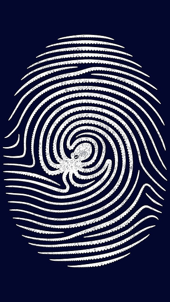 Fingerprint, Fingerprint Logo HD phone wallpaper