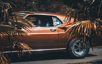 Cars, Side View, Wheel, Ford Mustang, 1969 HD wallpaper