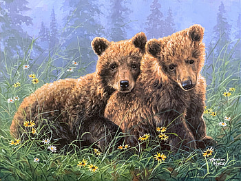 young bears, grizzlys, natur, baeren, bears HD wallpaper