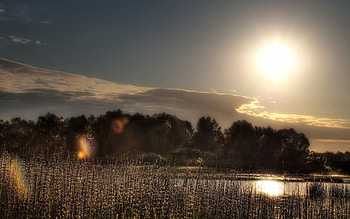 Nature, Trees, Grass, Sky, Sun, Reflection, Glare, Shine, Light, Serenity HD wallpaper