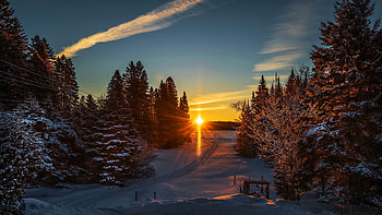 First Sunrays, snow, winter, colors, trees, sky, sun, forest HD wallpaper