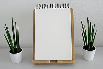 A simple minimalist desk setup featuring a blank notepad and two potted plants for a clean and modern look. HD wallpaper