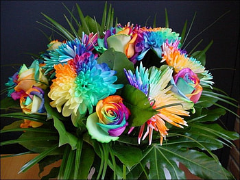 for you, colorful, nature, flowers, bright HD wallpaper
