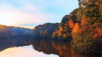The muddy waters of the Chattahoochee matching the fall foliage, autumn, colors, trees, sky, water, usa, reflections, georgia, landscape, clouds HD wallpaper