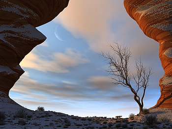 The diversity of nature, moon, orange, fox, rock, tree HD wallpaper