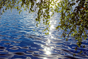 Landscape, Water, Leaves HD wallpaper