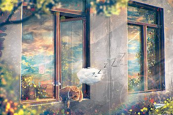 Summer by Sylar113, cat, summer, window, light, Abstract HD wallpaper