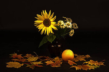 Autumn still life, Flowers, Leaves, Sunflowers, Still life HD wallpaper