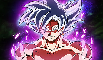 Goku, black, white hair, dragon ball super HD wallpaper