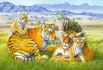 Tigers, animal, family, painting, cub, tiger, art, pictura, tigru HD wallpaper