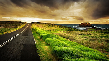 road west by the sea, sea, grass, road, tan sky HD wallpaper