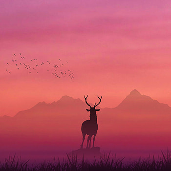 CINEMATIC ART, cloud, sky HD phone wallpaper