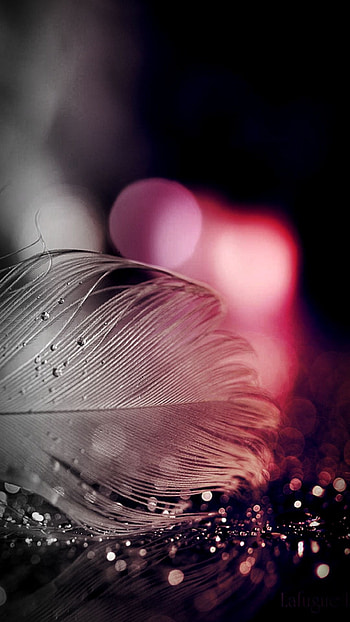 Android cell , background, Smart , Mobile HD phone wallpaper