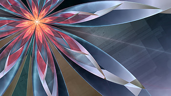 Abstract, Leaves, Flower, Shine, Light, Form HD wallpaper