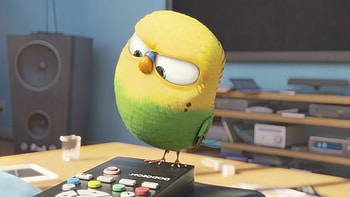 Bird Secrete Life Of Pets, the-secret-life-of-pets, movies, animated-movies, cartoons, 2016-movies HD wallpaper
