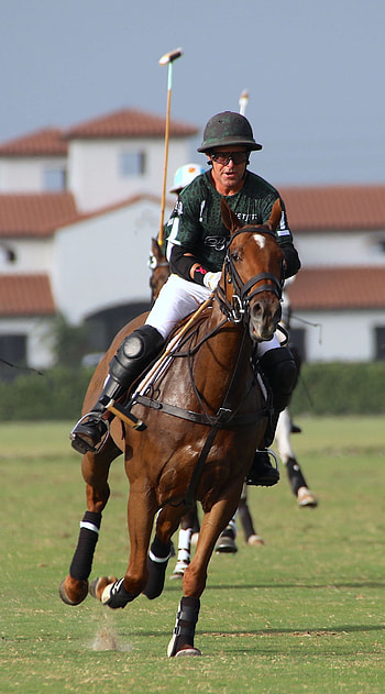 Grand Champions Polo Club, Horse Polo HD phone wallpaper