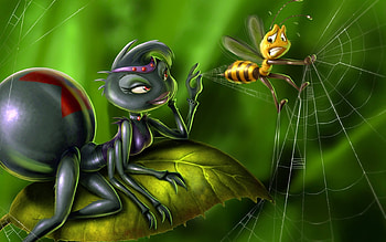 Insects, Spiders HD wallpaper