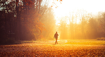 Nature, Autumn, Park, Stroll, Loneliness, Sunlight HD wallpaper