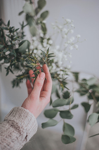 Leaves, Hand, Miscellanea, Miscellaneous, Branch, Tender HD phone wallpaper