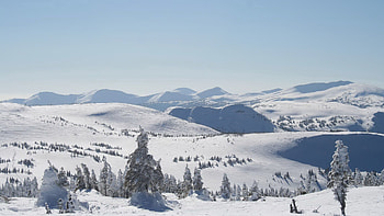 Winter, Nature, Trees, Mountains, Slopes HD wallpaper