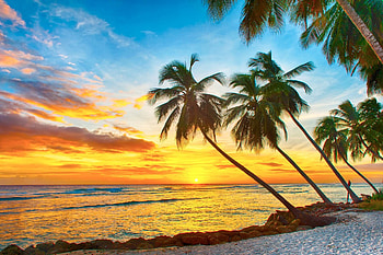 Beautiful Barbados, Bronze allure, Caribbean charm, Exotic destination HD wallpaper