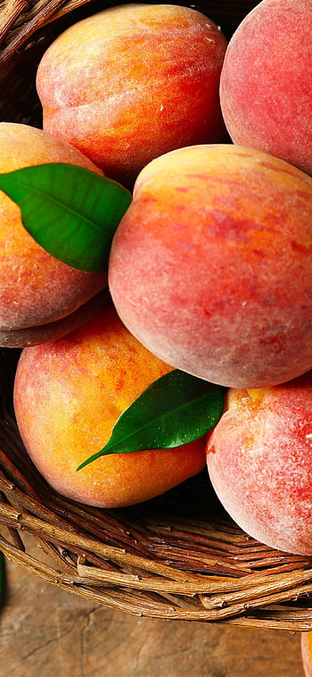 Peach , Captivating backgrounds, Stylish display, Peachy perfection HD phone wallpaper