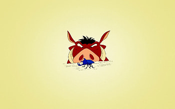 Timon and Pumbaa, TV series, Animation, Funny HD wallpaper