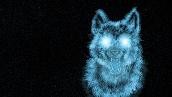 wolf by kinodro customization animals . HD wallpaper