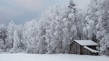Winter Cabin, Nature, Winter, snow, Cabin HD wallpaper
